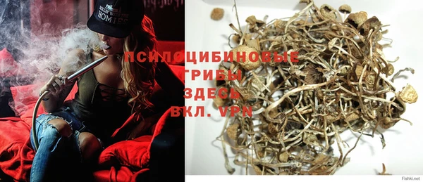 молекула духа Кодинск