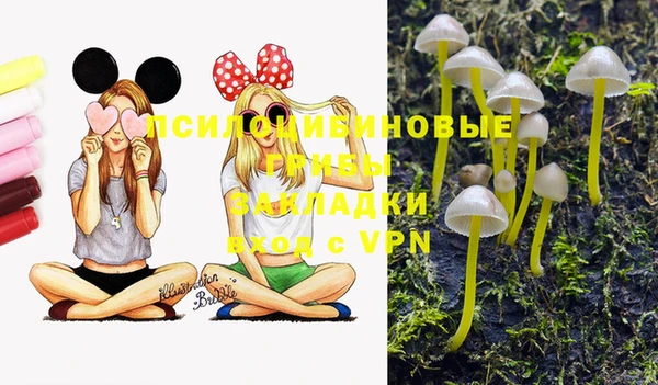 mdpv Козловка