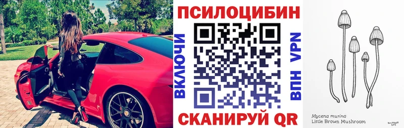 Галлюциногенные грибы мицелий Похвистнево